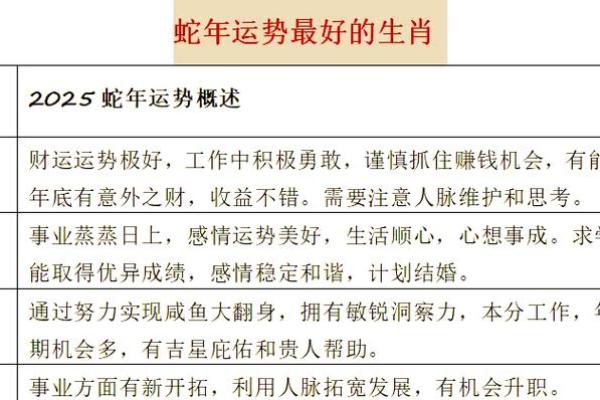 属蛇人2025年能上坟吗_2025年属蛇人清明扫墓宜忌解析运势指南与注意事项