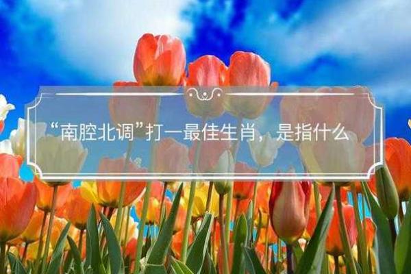 南腔北调打一个最佳生肖(南腔北调打一个最佳生肖正确答案)