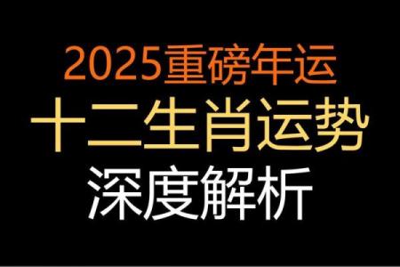 1990年属马人2025蛇年运势详解全年运程吉凶预测