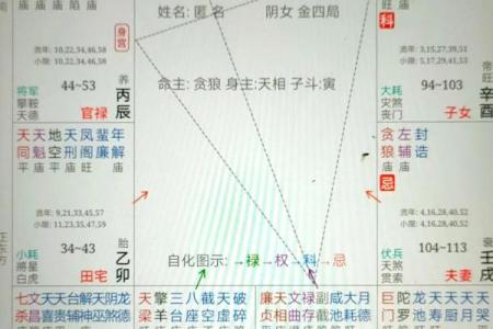 财帛宫生年禄 财帛宫生年禄转忌疾厄宫