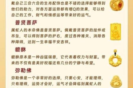 属蛇2025年多大_属相鸡2025年多大了