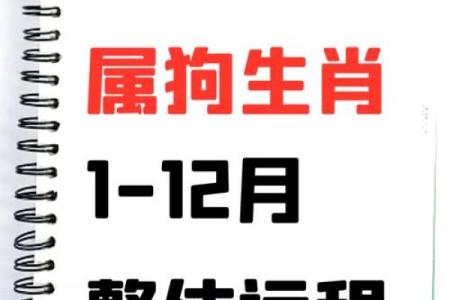 2025年70年属狗人运势与财运全解析