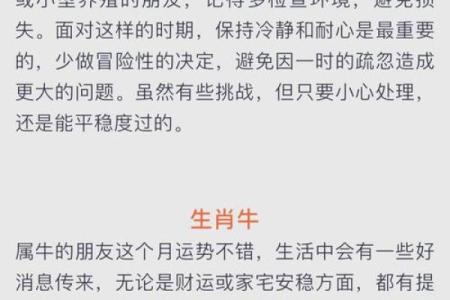 2024年十二星座运势大揭秘全年运势解析