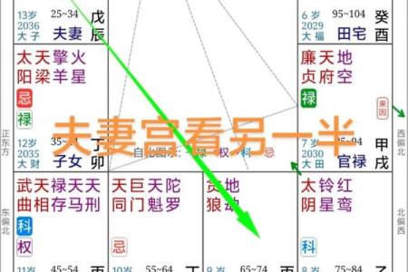 夫妻宫贪狼星化忌_夫妻宫贪狼星化忌女命
