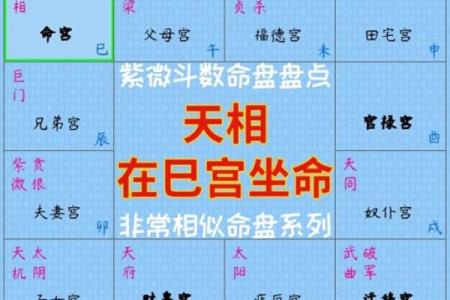 地空在疾厄宫命理解析与运势影响