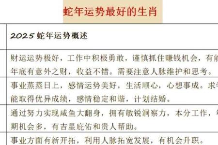 属蛇人2025年能上坟吗_2025年属蛇人清明扫墓宜忌解析运势指南与注意事项