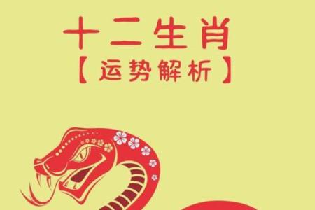 属兔2025年多少岁_99年属兔人2025年运势