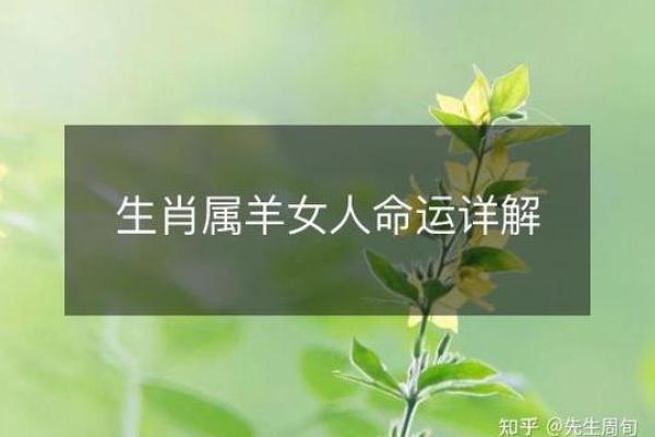 属羊2003年女孩命运_属羊2003年女孩命运如何