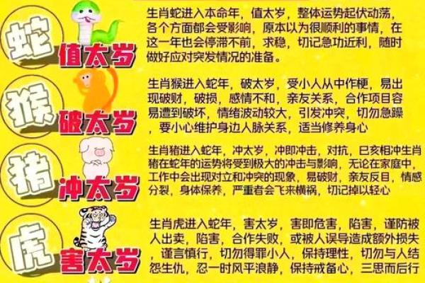 2003属羊五行属什么_79年属羊什么命金木水火