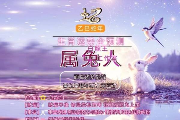 2025年属兔人的全年运势 2025年属兔人全年运势详解财运事业感情全面解析