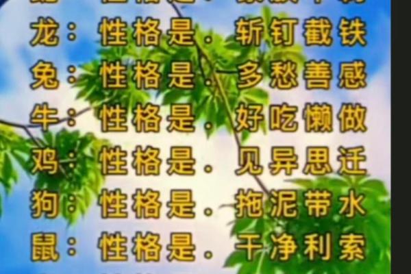 生拖死拽是什么生肖(生拖死拽是什么生肖的动物)