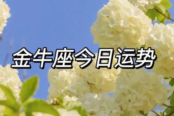 金牛座今日考试运势稳中求胜智慧取胜