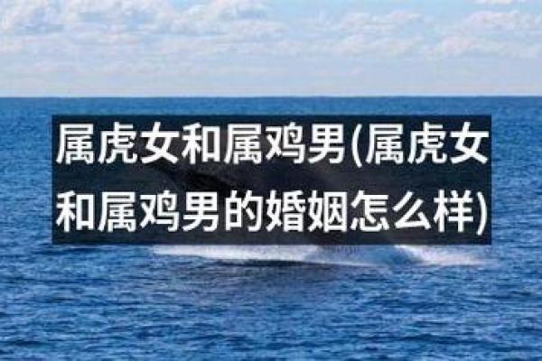 属虎和属鸡的适合做夫妻吗 属虎和属鸡的婚姻配对适合做夫妻吗