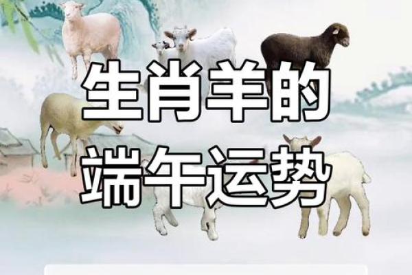 属羊人今日运势解析财运亨通机遇与挑战并存