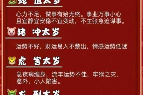 属猪人在蛇年2025的运势怎么样 属猪2025年有大喜缠身