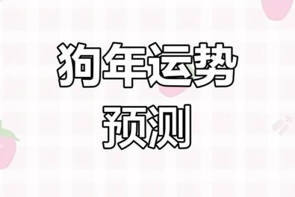 2025年属狗本命年运势详解吉凶预测与化解之道