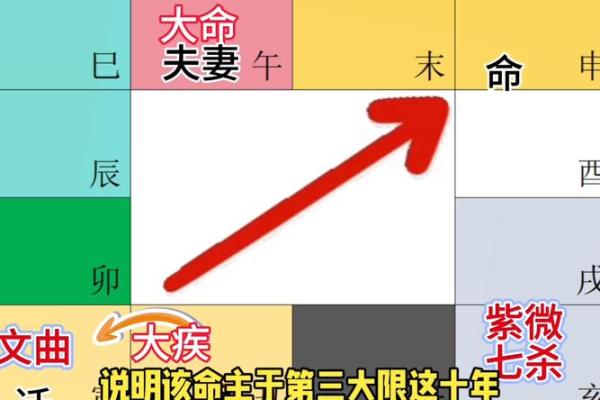 大鸾紫微斗数 大鸾紫微斗数解析揭秘命运玄机与人生运势