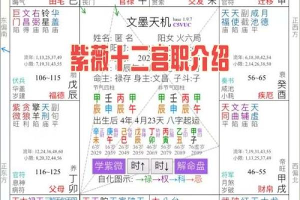 八字子女宫位置解析如何准确找到子女宫