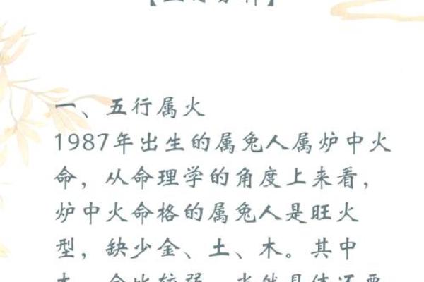 75年兔是什么命 五行属什么 75年兔五行属什么揭秘1975年兔年出生者的命运解析