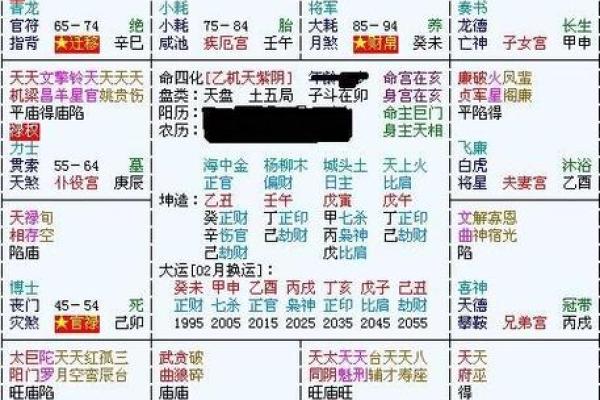 测紫薇命盘_测紫微斗数命盘