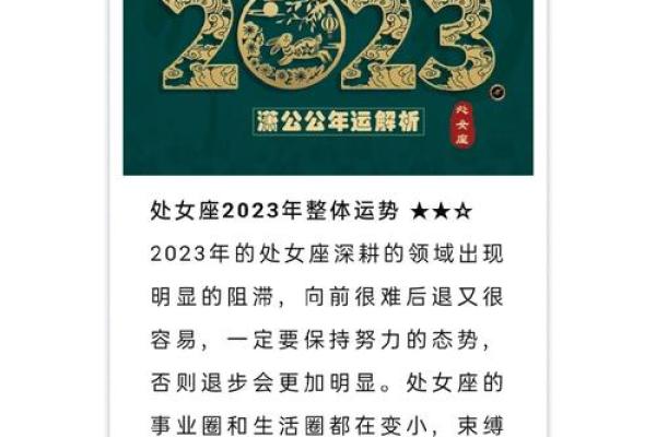 2023年12星座运势完整解析年度运程超准预测