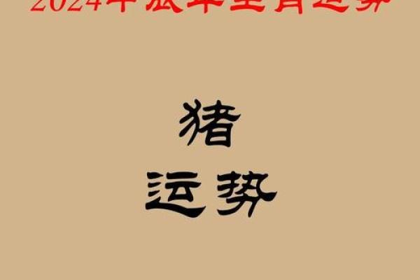 2025年属猪人全年运势详解财运事业感情全面解析