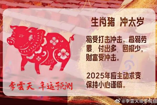 2025年属猪人全年运势详解1995年出生者必看