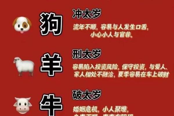 属龙的2025的全年运势_属龙人2025年全年运势详解