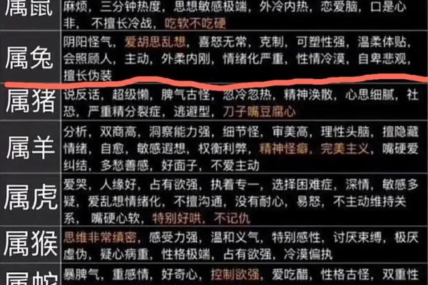 属兔人2025年运势 属马人2025年运势