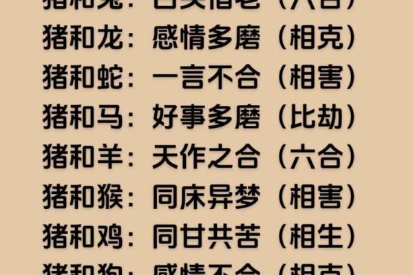 95年是属猪吗 95年出生的人属猪吗揭秘生肖年份的奥秘