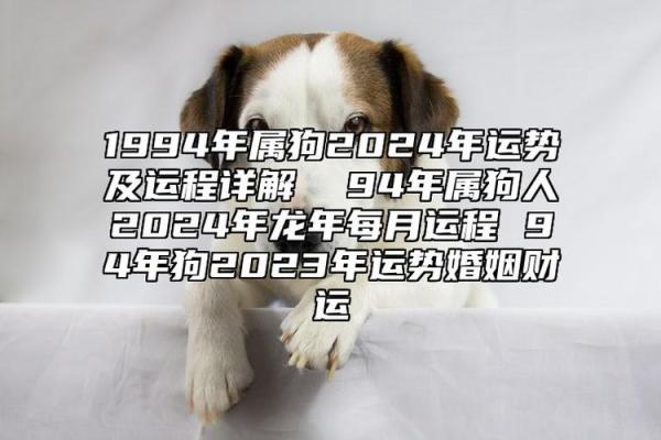 1994属狗男2025年的运势和婚姻 94年属狗男未来五年