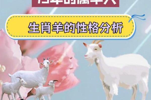 属羊女人的命运与婚姻_十个羊女九克夫