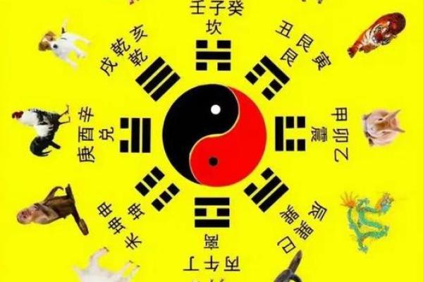 夫妻宫八座_夫妻宫八座代表什么