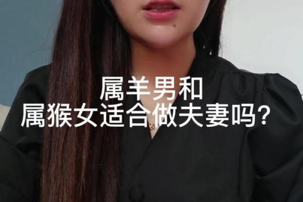属羊2003年男最佳婚配 2003年属羊男婚姻
