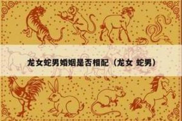 属龙跟属蛇合得来吗 属龙跟蛇在一起好不好