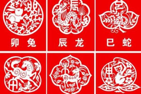 风雨同舟是什么生肖(风雨同舟指什么生肖动物)