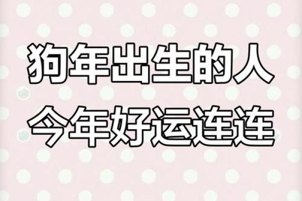 1970年属狗人2025年运势详解运程走向与吉凶预测