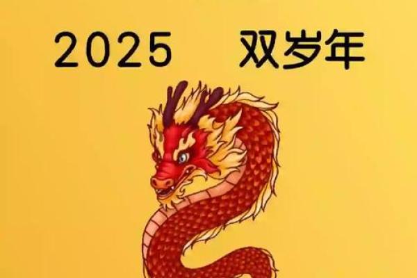 2024年属龙下半年要出大事_2024属龙的人