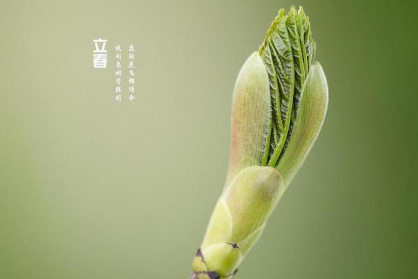 2021年什么时候立春几点几分