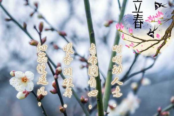 2021年几点打春