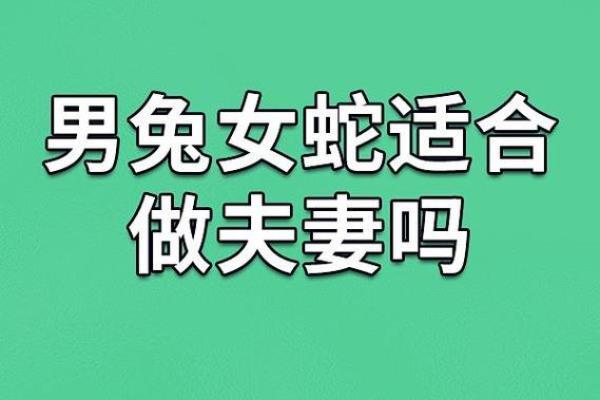 1987属兔的婚姻和命运 1987属兔婚姻命运解析幸福与挑战并存