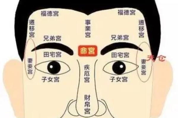 夫妻宫 夫妻宫解析揭秘婚姻运势与感情走向