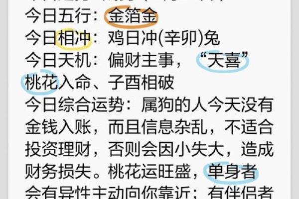 2025年生肖狗全年运势详解财运事业爱情全面解析