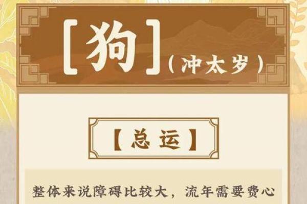2025年生肖狗全年运势详解财运事业爱情全面解析