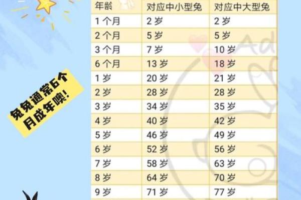 属兔的年龄对照表_属兔的年龄对照表2023年最新生肖年龄查询指南
