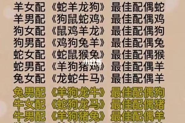 属兔的上上等婚配_兔的上等配偶属相