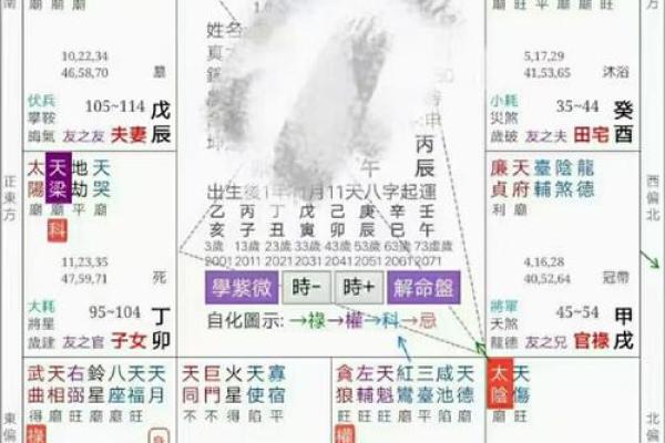 福德宫天厨_福德宫天厨星另一半