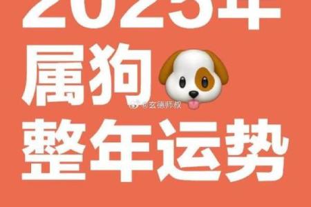 1994年生肖狗2025年运势大全 2025年生肖狗运势详解1994年出生者全年运程预测