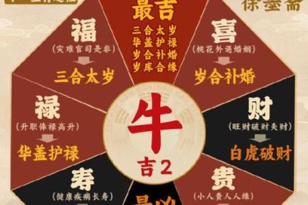 属牛处女座2025年运势详解事业爱情财运全解析