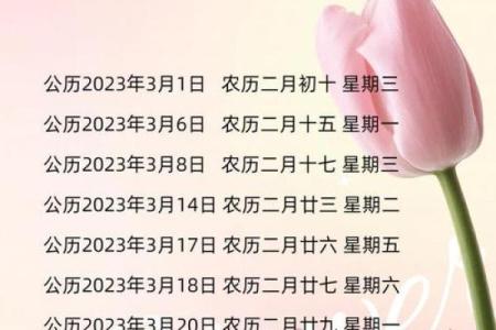 202年4月搬家日子